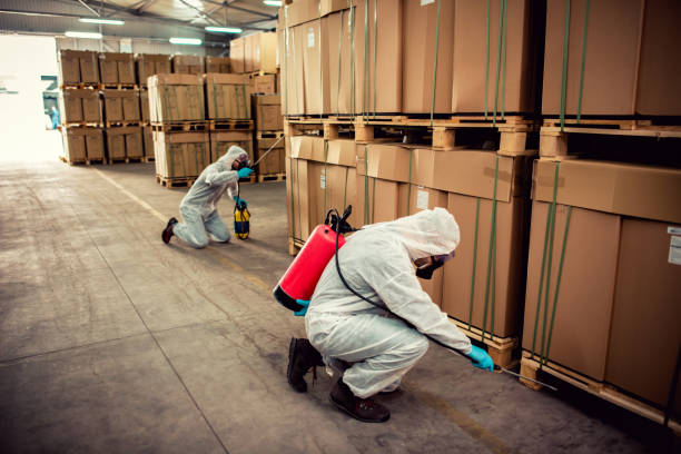 Best Residential Pest Control  in Augusta, KY