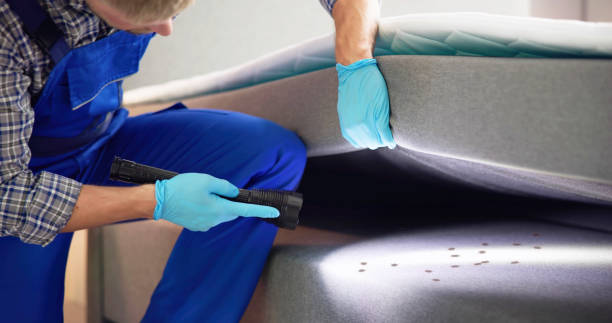 Best Cockroach Control Services  in Augusta, KY